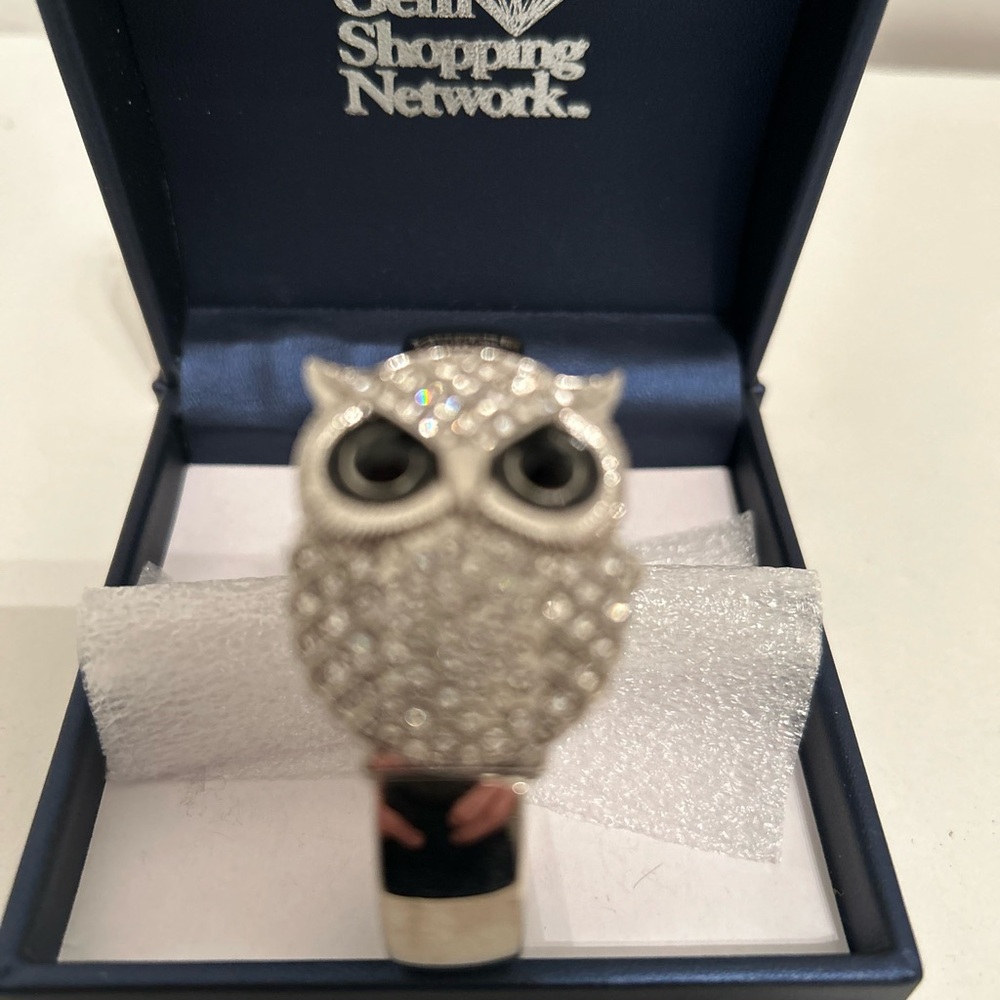 Silver Owl Women's Watch